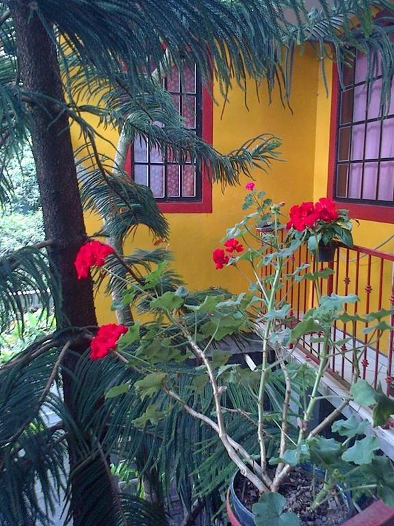 Posada Familiar El Dorado Xilitla Extérieur photo