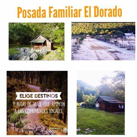 Posada Familiar El Dorado Xilitla Extérieur photo