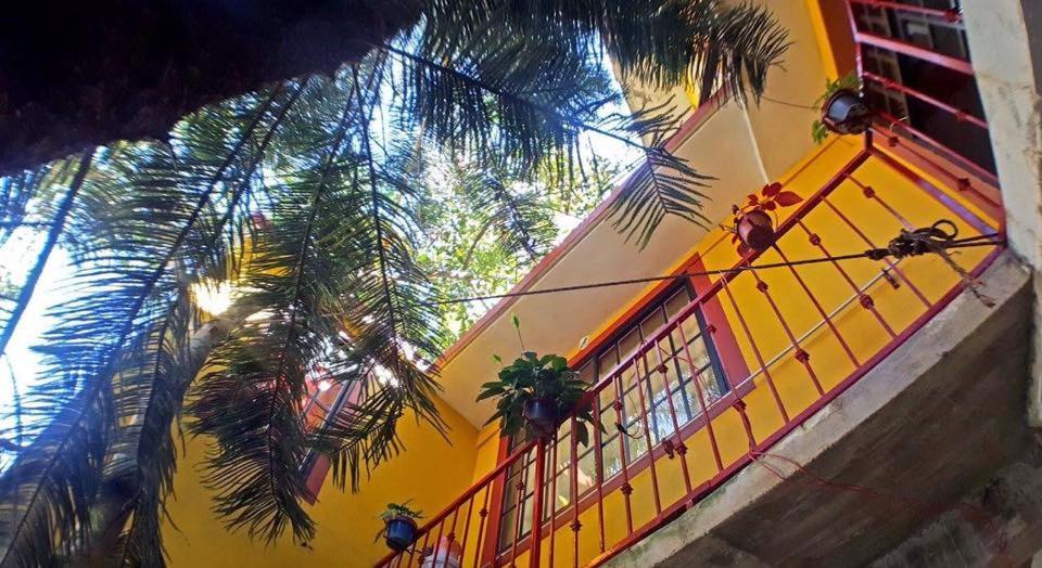 Posada Familiar El Dorado Xilitla Extérieur photo