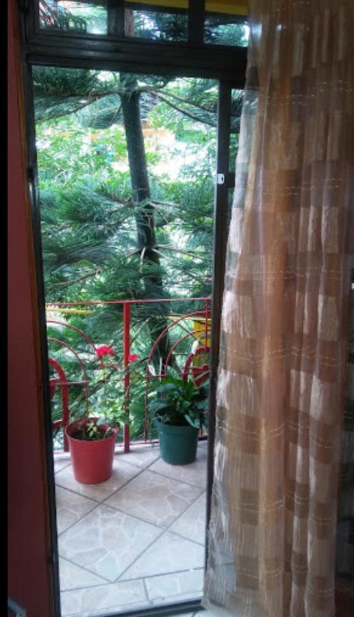 Posada Familiar El Dorado Xilitla Extérieur photo